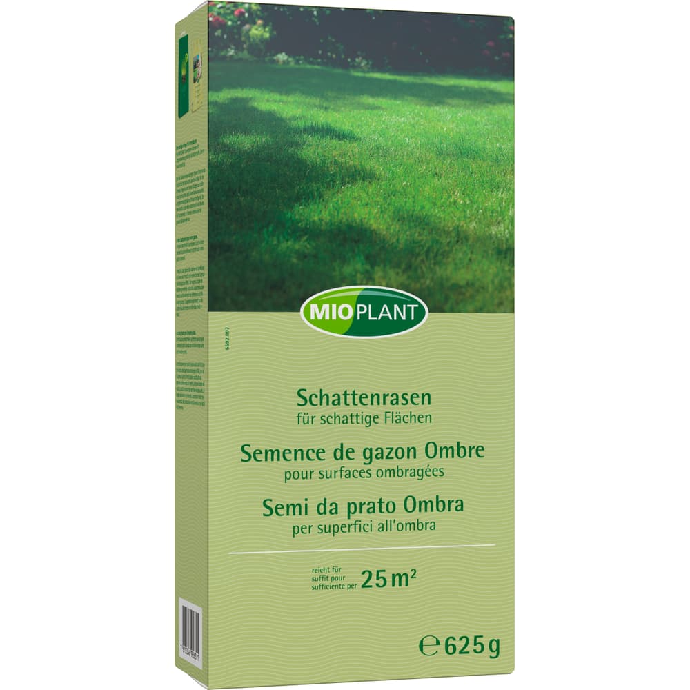 GAZON MI-OMBRE main image 0