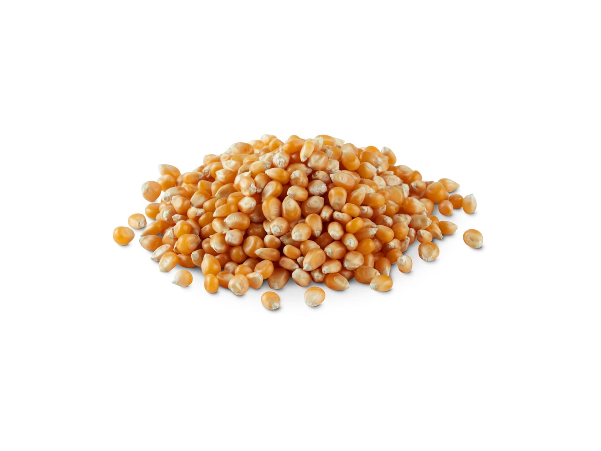 Achat Bio popcorn mais vrac • Migros