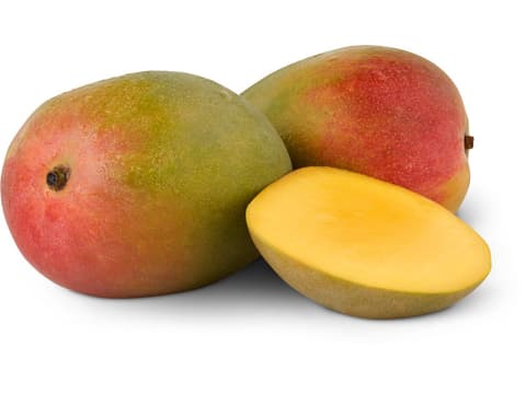 Mangue