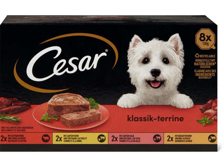 Achat Cesar · Terrine de viande pour chiens adultes · 2x boeuf et au