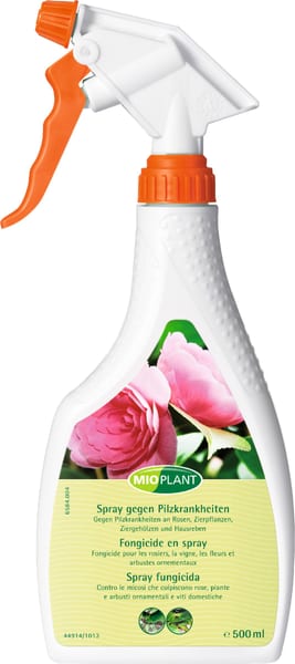 Discover the Mioplant products at Migros Online • Migros