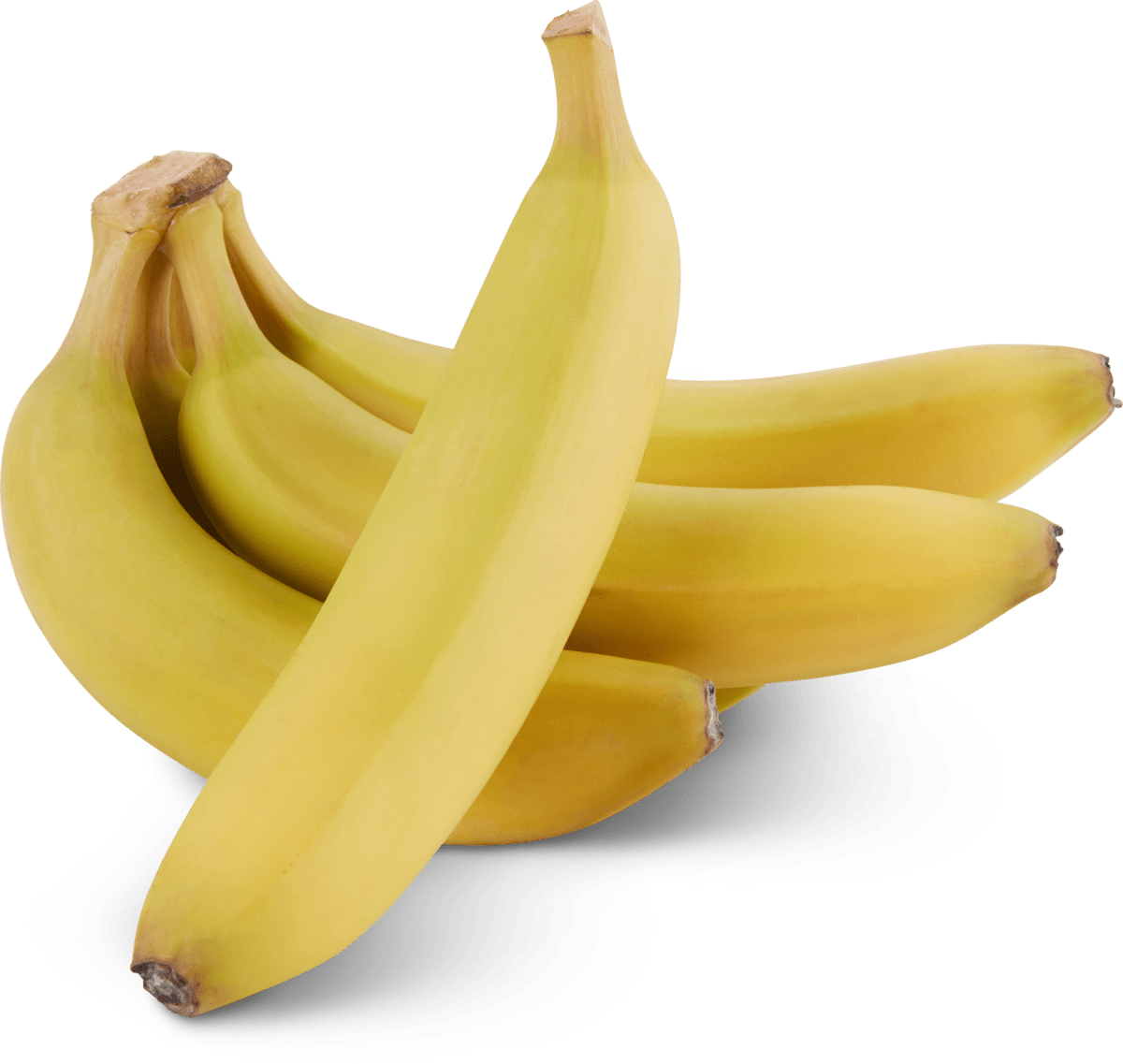 Migros Bio Fairtrade | Migros Migipedia Bananen
