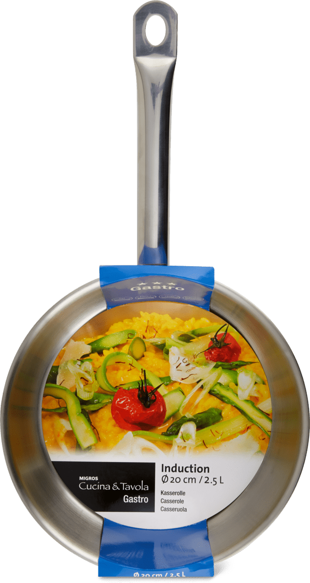 OPEN SAUCEPAN GASTRO 20CM 2.5L