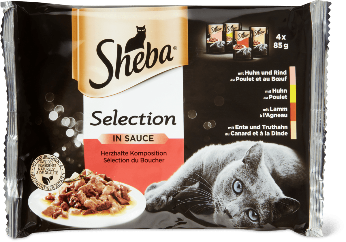 Sheba hotsell soup test