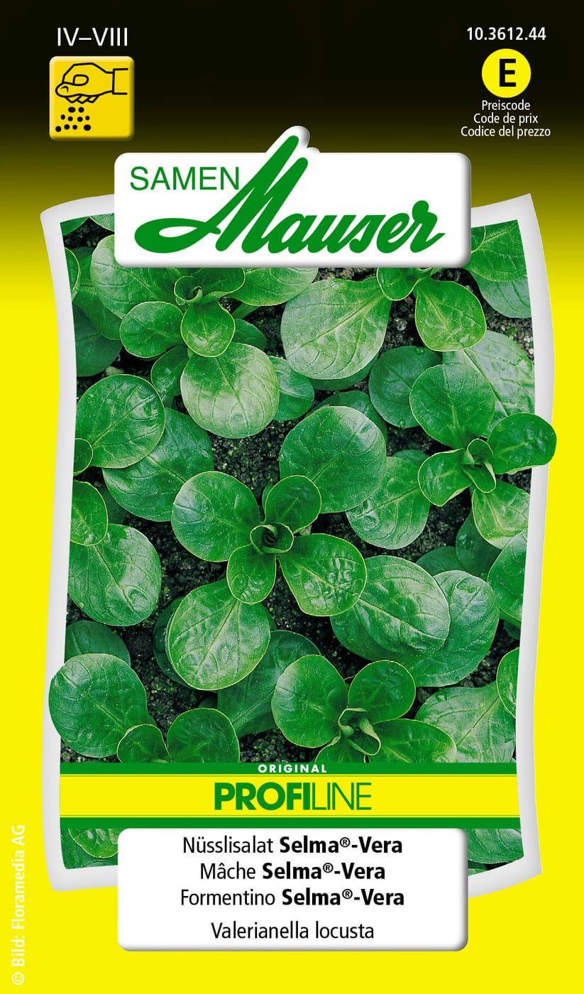 Nüsslisalat pflanzen