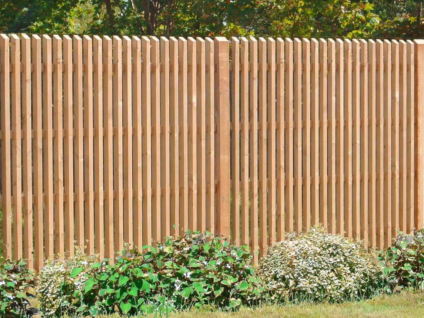 Sichtschutz Fenster Migros sichtschutz amrum l 228 rche natur migros Sichtschutz Fenster Migros sichtschutz amrum l 228 rche natur migros