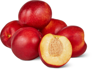 Yellow-fleshed nectarines
