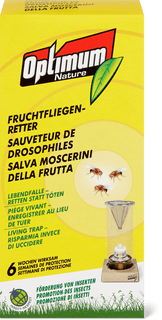 Fruchtfliegenretter