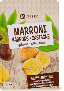 M-Classic Marrone cotti