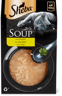 Soup Huhn