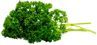 Migros Bio Peterli gekraust