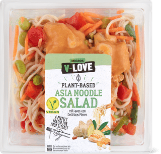 V-Love Asia Noodlesalat