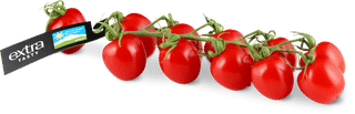 Extra pomodori Sweet Cherry