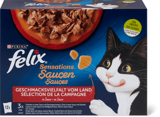 Felix Sensation Salsa carne mix