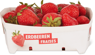 Fragole