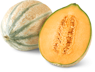 Melone retato