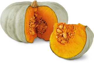 Zucca Sombra